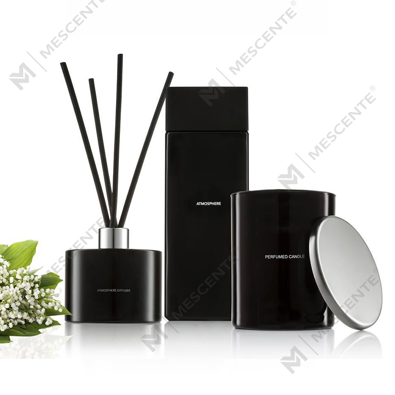 Private Label Vit Frostad Flaska Aromaterapi Reed Diffuser oljor Med Box A29148