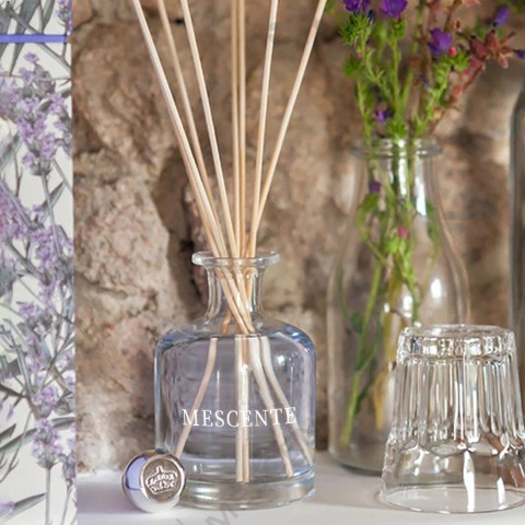 Skillnaden mellan Aroma Reed Diffuser och luftfuktare